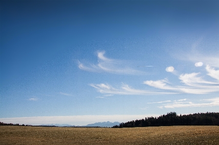 Landscape sea nature forest Photo