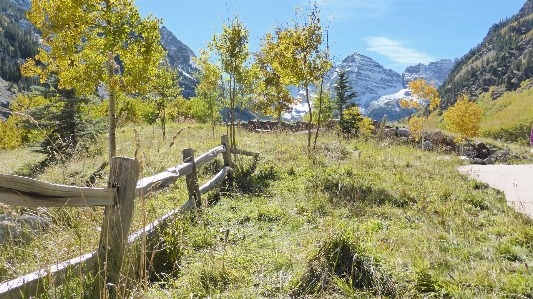 Tree wilderness walking mountain Photo