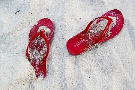 Hand beach sea sand Photo