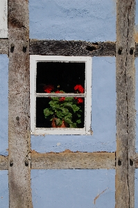 Architecture wood house window Photo