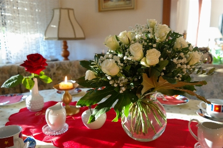 Table plant flower bloom Photo