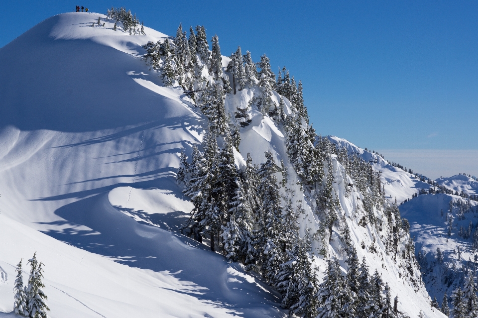 árbol montaña nieve invierno