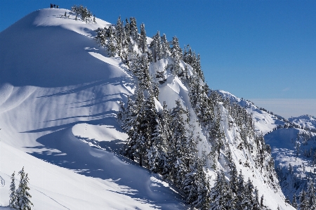 Foto árvore montanha neve inverno