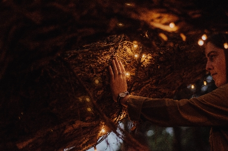 Foto Assistir mão árvore luz