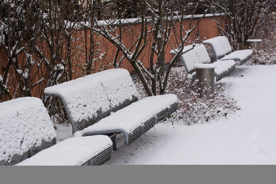 雪 寒い 冬 白