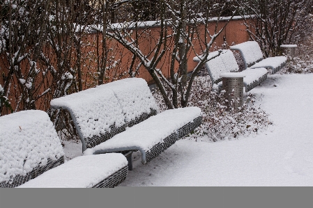 Foto Nevicare freddo inverno bianco