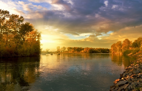 Landscape tree nature forest Photo