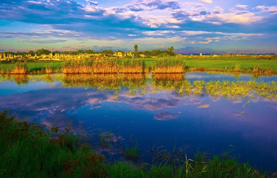 Paisagem água natureza grama