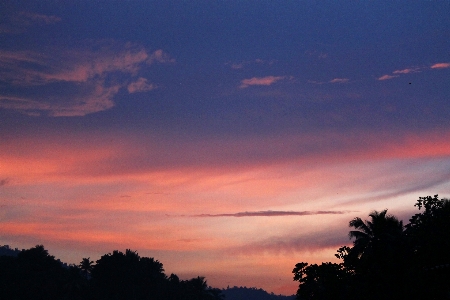 Photo Paysage nature horizon silhouette