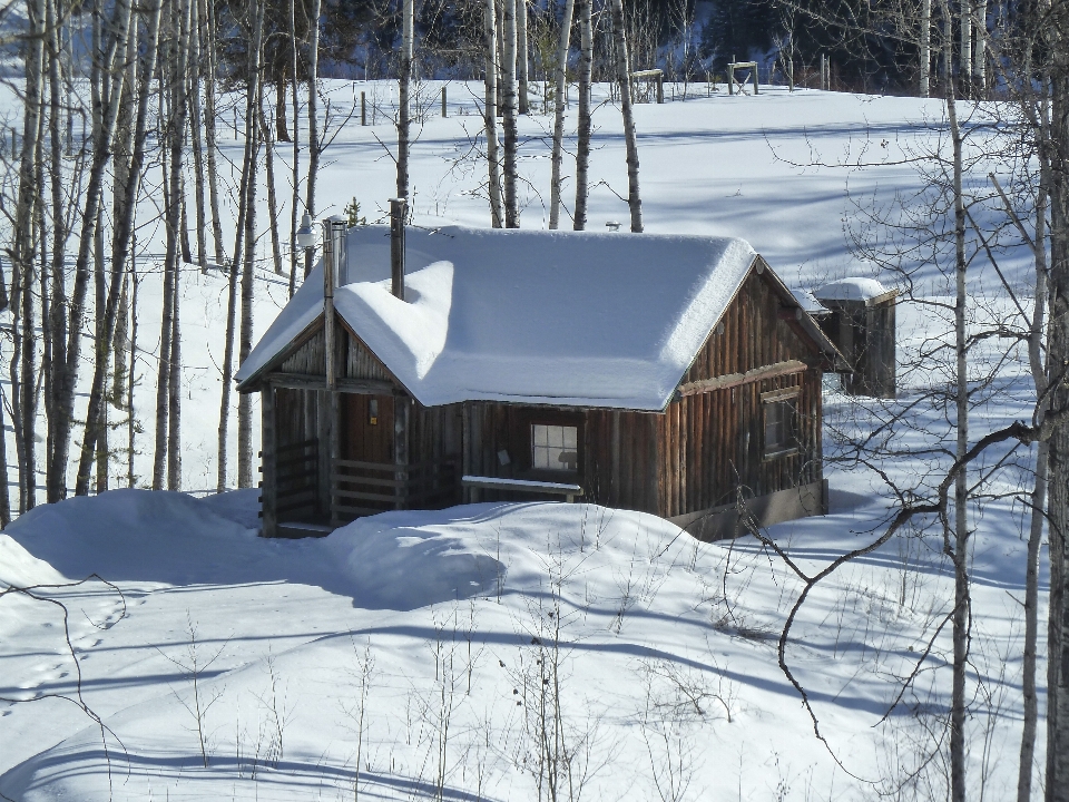 Paysage nature neige froid