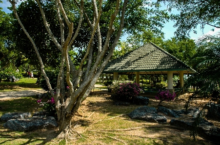 木 花 小屋 池 写真