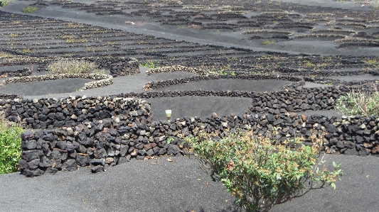 Coast sun track asphalt Photo