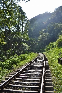 Forest path mountain track Photo