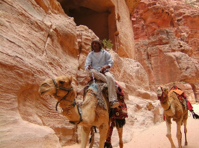 Landscape camel canyon jordan Photo