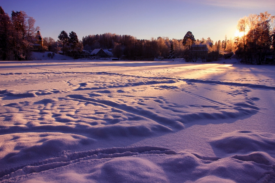 Paisagem natureza floresta neve