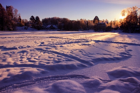 風景 自然 森 雪 写真