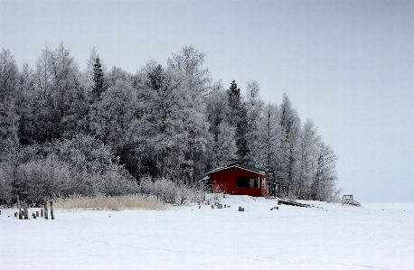 Landscape nature forest mountain Photo