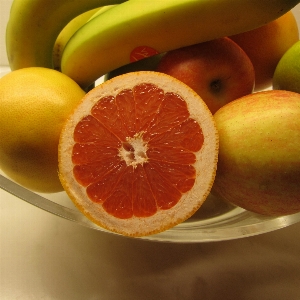 Plant fruit cute orange Photo