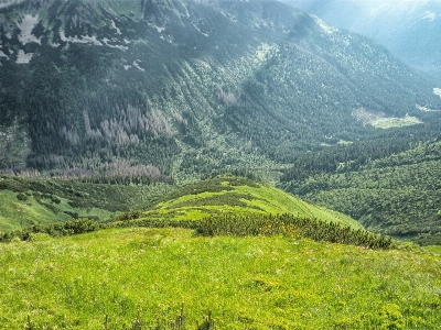 Landscape nature grass wilderness Photo