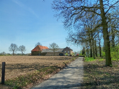 Landscape tree nature path Photo