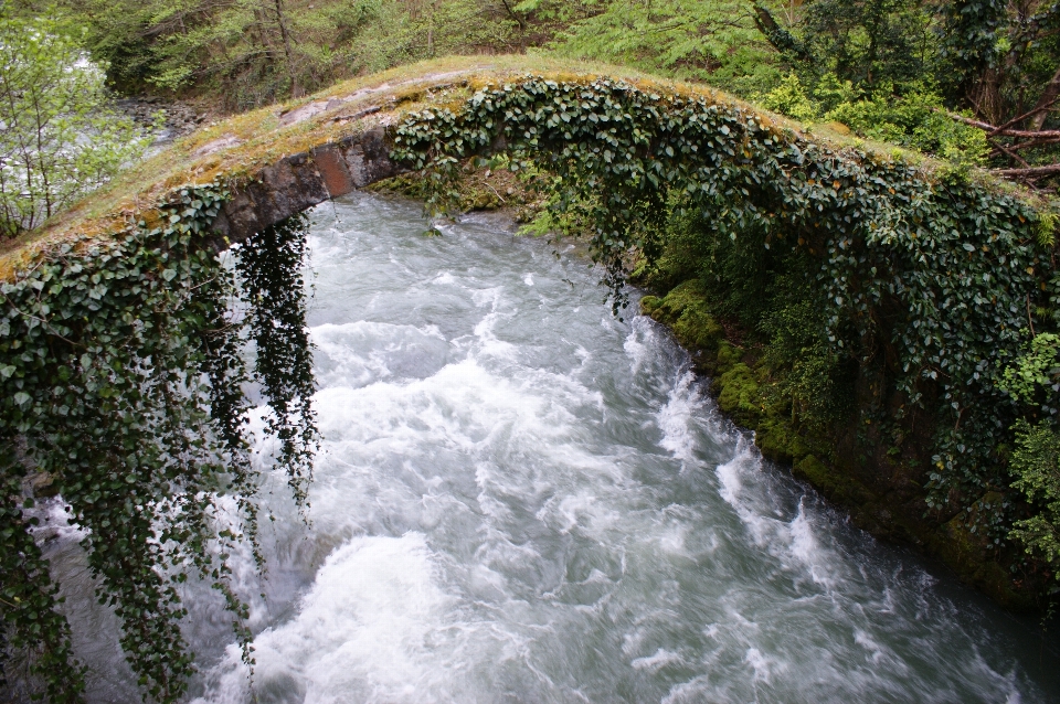 Paisagem água natureza ar livre