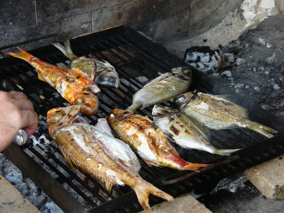 Mar plato alimento mediterráneo