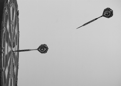 雪 黒と白
 ボード 白 写真