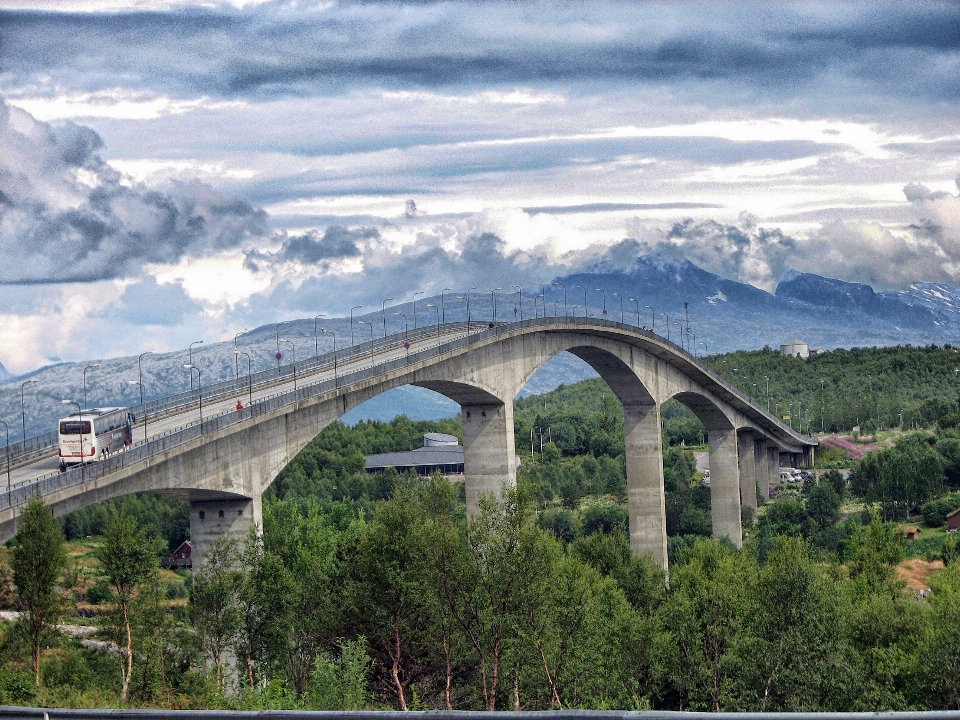 Manzara doğa orman mimari