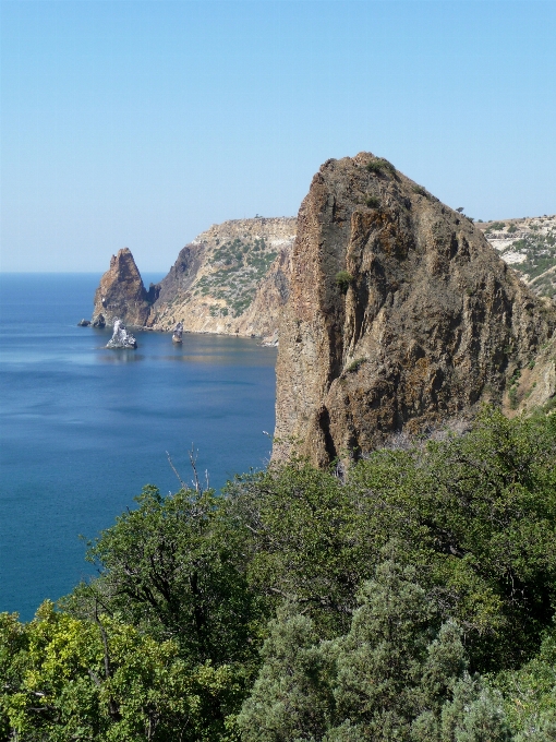 景观 海 海岸 水