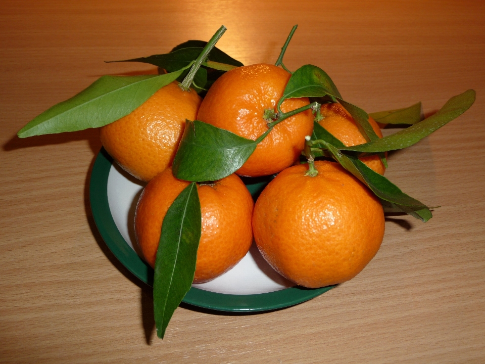 Anlage frucht süss orange