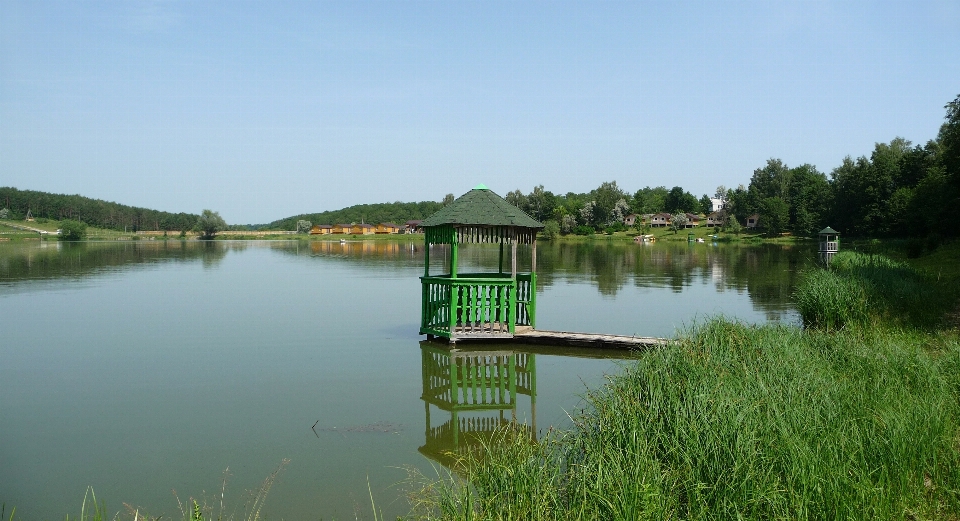 вода природа лес трава