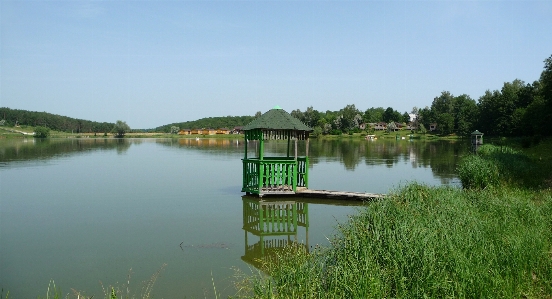 Water nature forest grass Photo