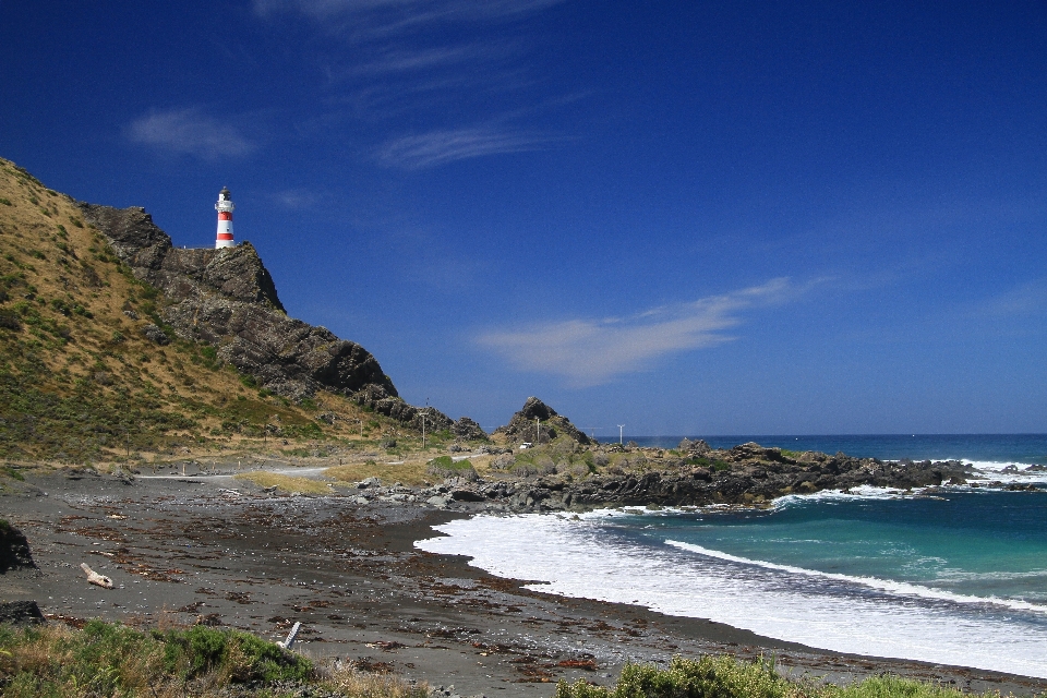 Beach sea coast ocean