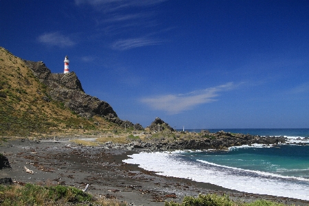 Beach sea coast ocean Photo