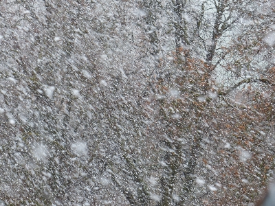 Rock 雪 寒い 冬 写真