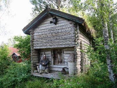 Tree grass woman house Photo