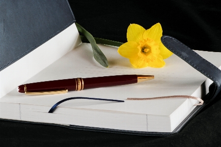 Writing book record flower Photo