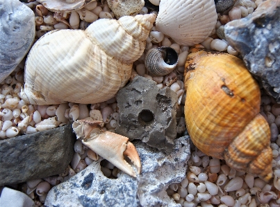 Sea nature lake stone Photo