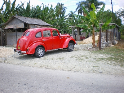 Auto rad volkswagen
 rot Foto