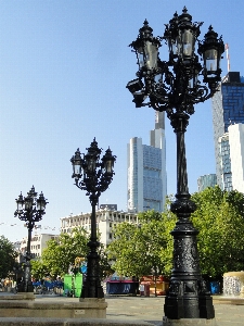 Tree architecture skyline city Photo