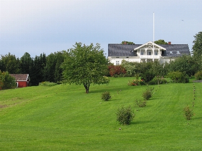 Landscape nature grass architecture Photo