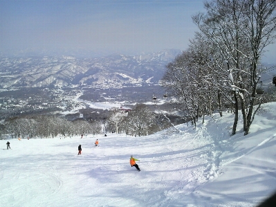 Landscape nature snow winter Photo