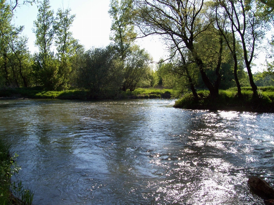 Wasser natur bach
 see