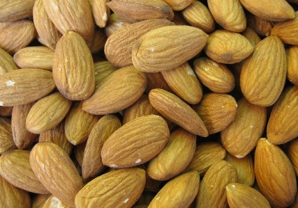 Plant fruit seed food Photo