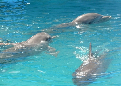 Sea water play pool Photo