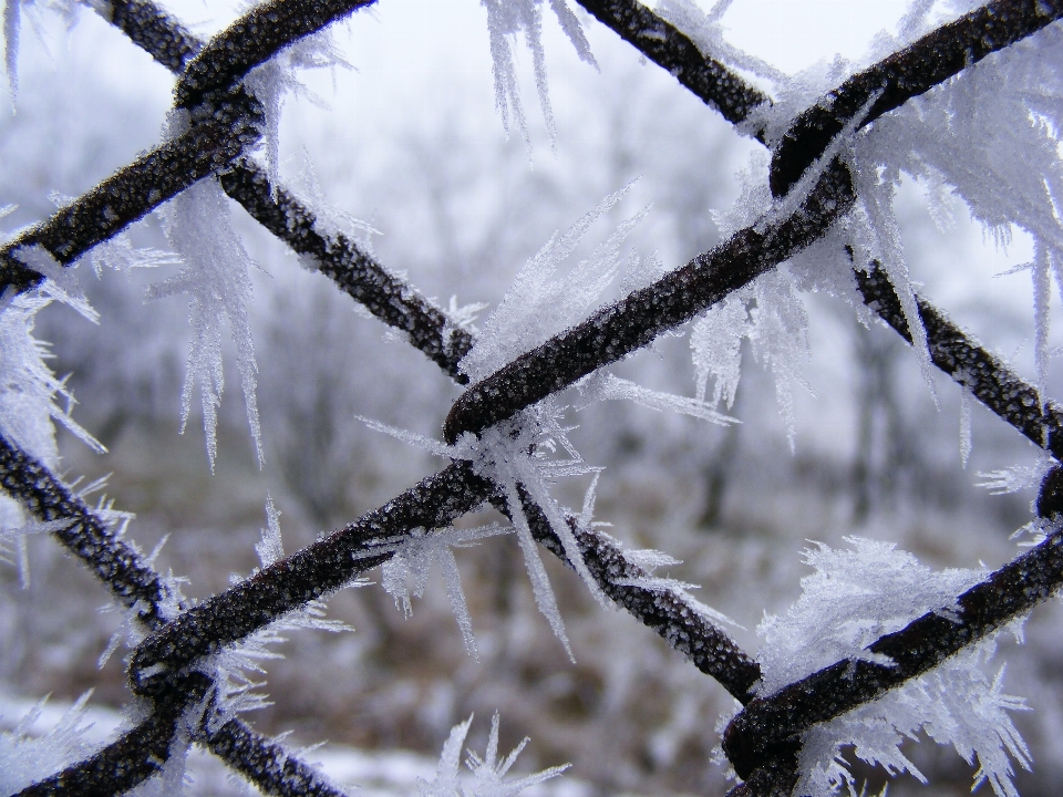 Invierno cristales copos nevado