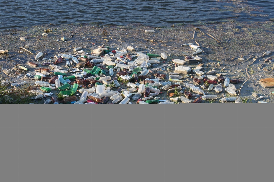 水 自然 プラスチック 川