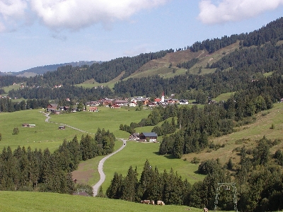 Landscape nature forest mountain Photo