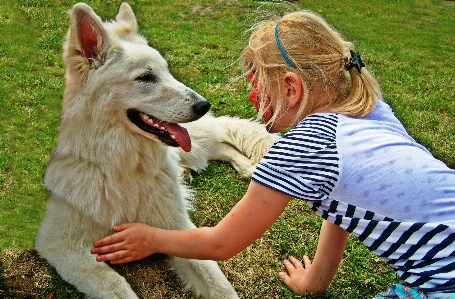 Girl lawn play dog Photo