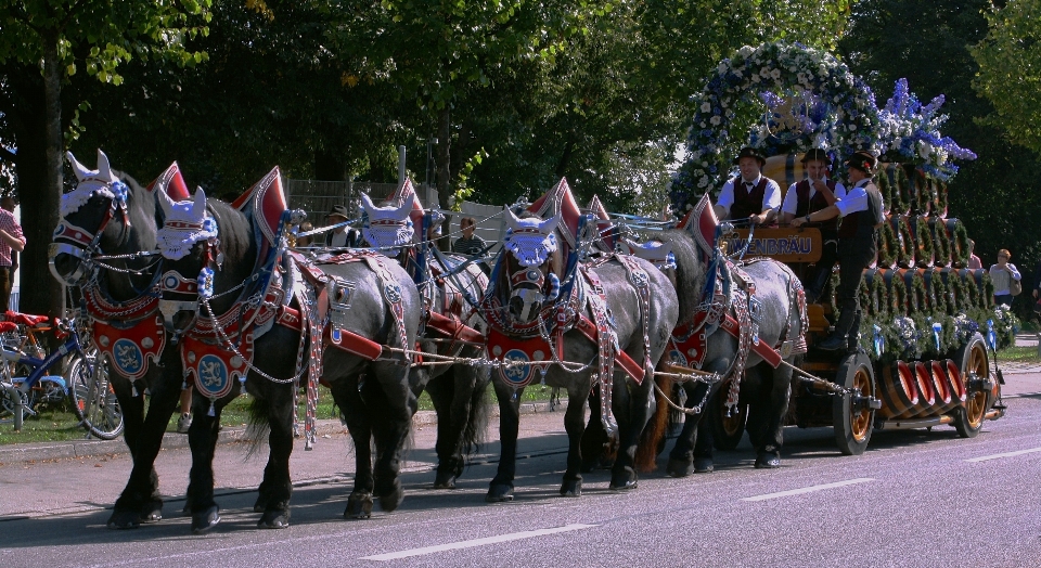 Street cart vehicle horse